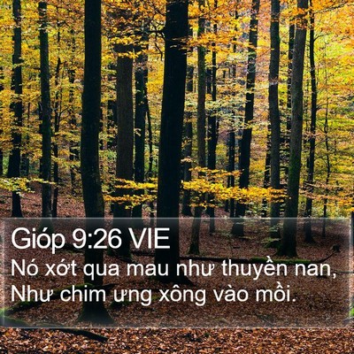 Gióp 9:26 VIE Bible Verse Image