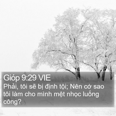 Gióp 9:29 VIE Bible Verse Image