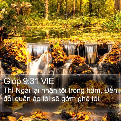 Gióp 9:31 VIE Bible Verse Image