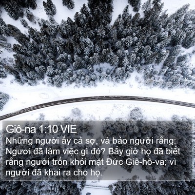 Giô-na 1:10 VIE Bible Verse Image