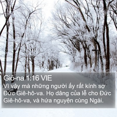 Giô-na 1:16 VIE Bible Verse Image