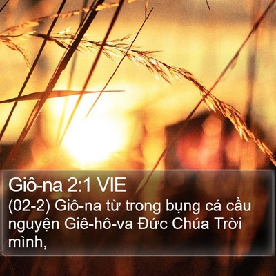 Giô-na 2:1 VIE Bible Verse Image