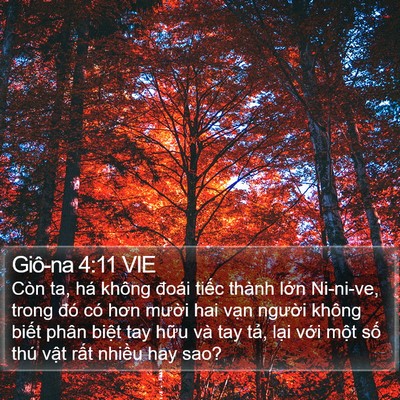 Giô-na 4:11 VIE Bible Verse Image