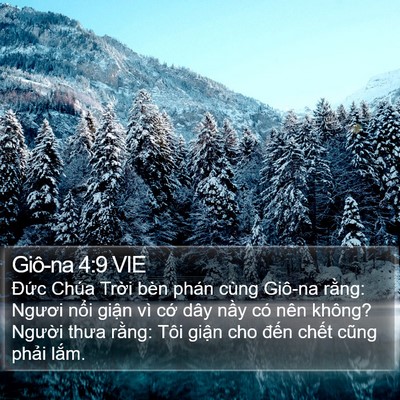 Giô-na 4:9 VIE Bible Verse Image