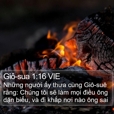 Giô-sua 1:16 VIE Bible Verse Image