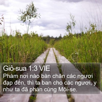 Giô-sua 1:3 VIE Bible Verse Image