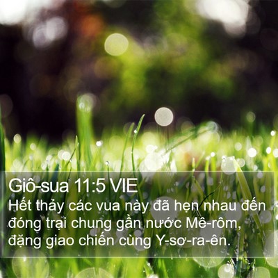 Giô-sua 11:5 VIE Bible Verse Image