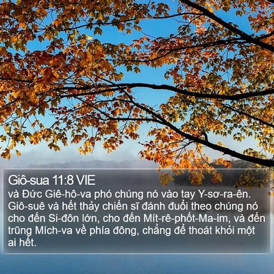 Giô-sua 11:8 VIE Bible Verse Image