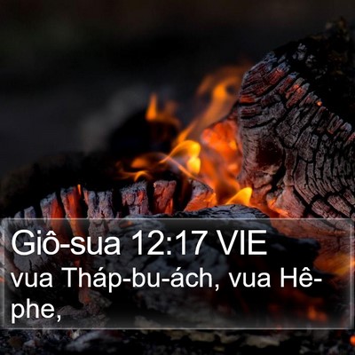 Giô-sua 12:17 VIE Bible Verse Image