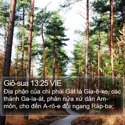 Giô-sua 13:25 VIE Bible Verse Image