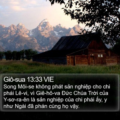 Giô-sua 13:33 VIE Bible Verse Image