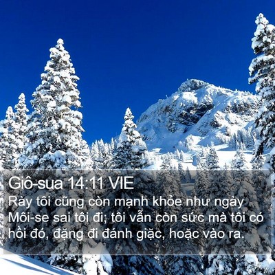 Giô-sua 14:11 VIE Bible Verse Image