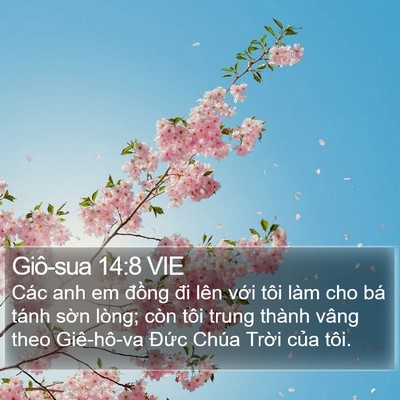 Giô-sua 14:8 VIE Bible Verse Image
