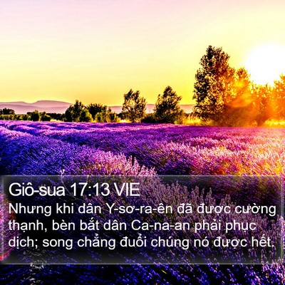 Giô-sua 17:13 VIE Bible Verse Image