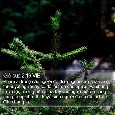 Giô-sua 2:19 VIE Bible Verse Image