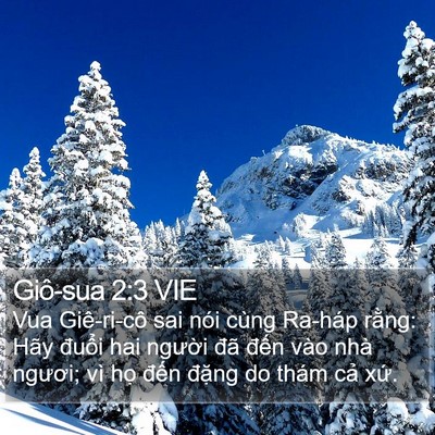 Giô-sua 2:3 VIE Bible Verse Image