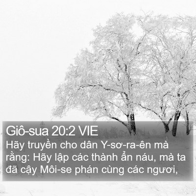 Giô-sua 20:2 VIE Bible Verse Image