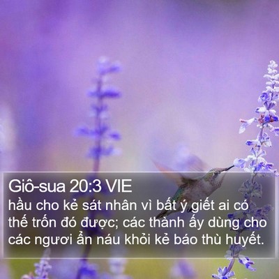 Giô-sua 20:3 VIE Bible Verse Image