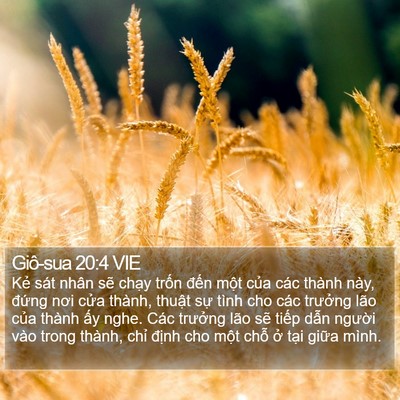 Giô-sua 20:4 VIE Bible Verse Image