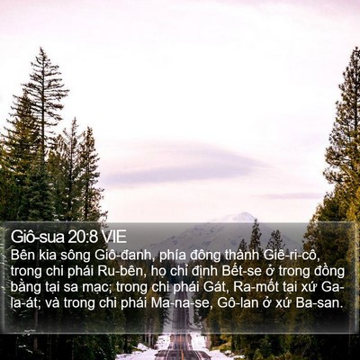 Giô-sua 20:8 VIE Bible Verse Image