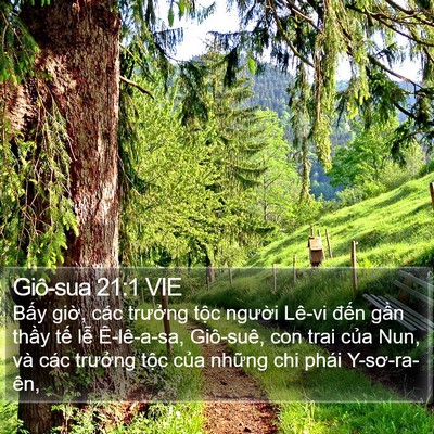 Giô-sua 21:1 VIE Bible Verse Image