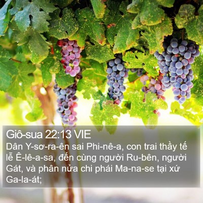 Giô-sua 22:13 VIE Bible Verse Image