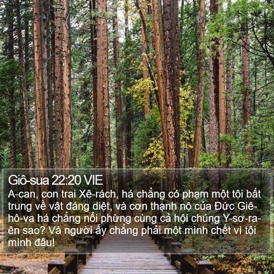 Giô-sua 22:20 VIE Bible Verse Image
