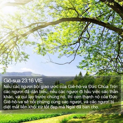 Giô-sua 23:16 VIE Bible Verse Image