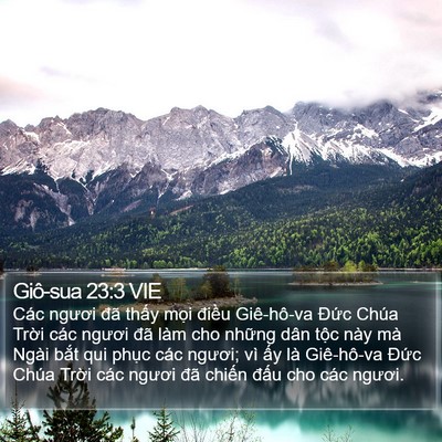 Giô-sua 23:3 VIE Bible Verse Image