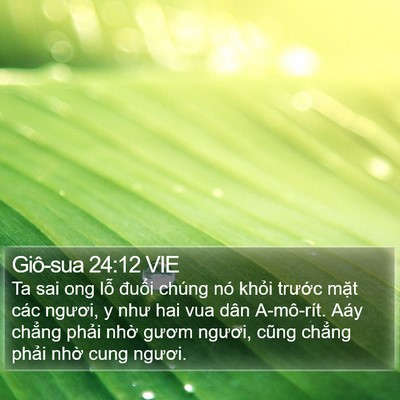 Giô-sua 24:12 VIE Bible Verse Image