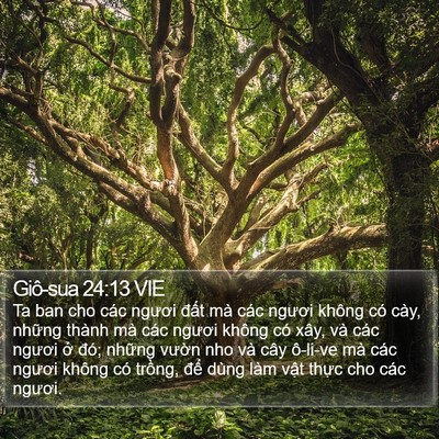 Giô-sua 24:13 VIE Bible Verse Image