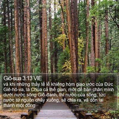 Giô-sua 3:13 VIE Bible Verse Image