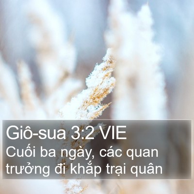 Giô-sua 3:2 VIE Bible Verse Image