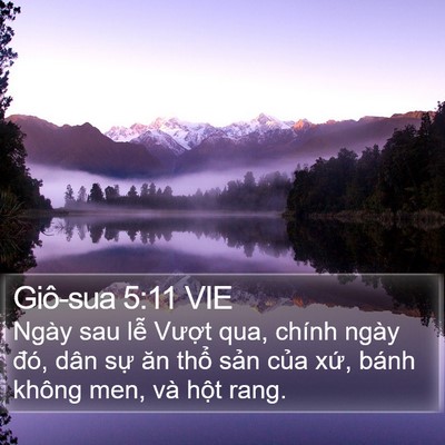 Giô-sua 5:11 VIE Bible Verse Image