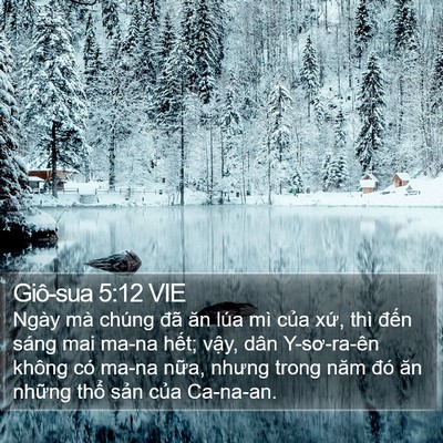 Giô-sua 5:12 VIE Bible Verse Image