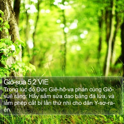 Giô-sua 5:2 VIE Bible Verse Image