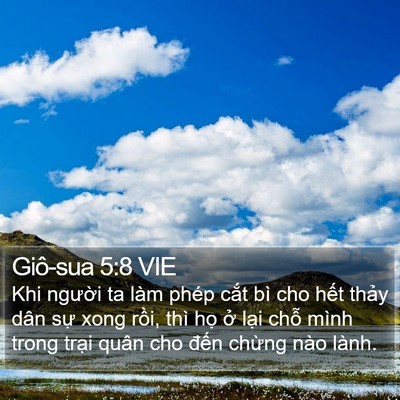 Giô-sua 5:8 VIE Bible Verse Image