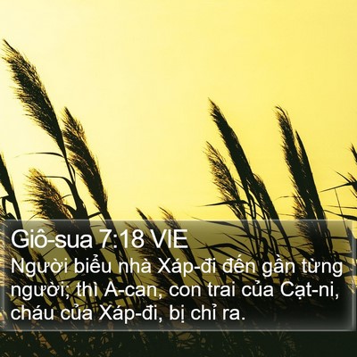 Giô-sua 7:18 VIE Bible Verse Image
