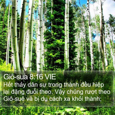 Giô-sua 8:16 VIE Bible Verse Image