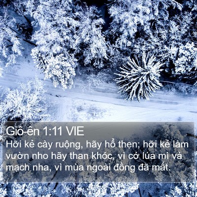 Giô-ên 1:11 VIE Bible Verse Image