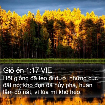 Giô-ên 1:17 VIE Bible Verse Image