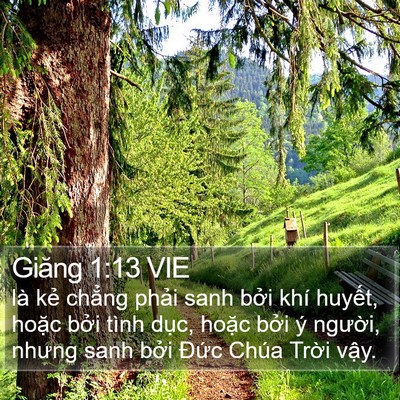 Giăng 1:13 VIE Bible Verse Image