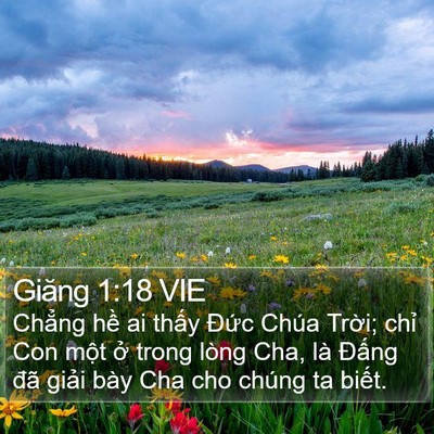 Giăng 1:18 VIE Bible Verse Image