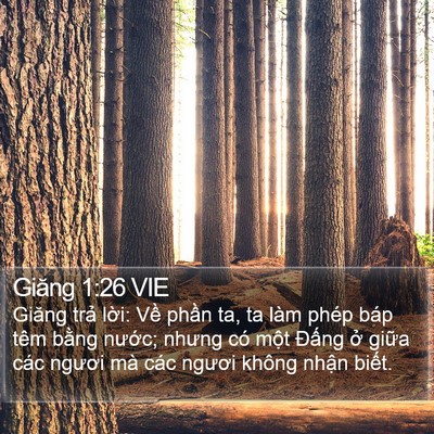 Giăng 1:26 VIE Bible Verse Image