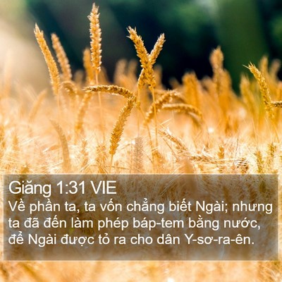 Giăng 1:31 VIE Bible Verse Image
