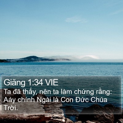 Giăng 1:34 VIE Bible Verse Image