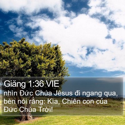 Giăng 1:36 VIE Bible Verse Image