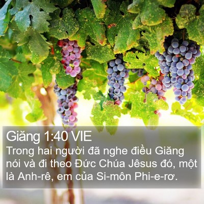 Giăng 1:40 VIE Bible Verse Image