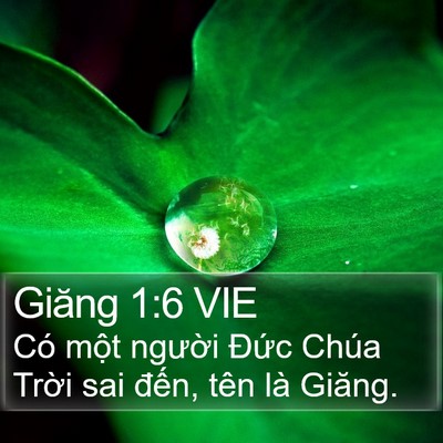 Giăng 1:6 VIE Bible Verse Image