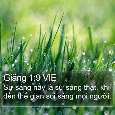 Giăng 1:9 VIE Bible Verse Image